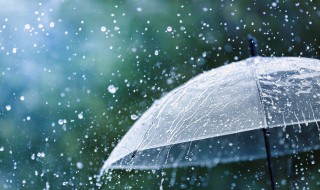 雨的歌词 雨歌曲简介
