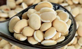 白扁豆的作用与功效 白扁豆有什么作用