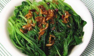 小萝卜菜苗怎么做好吃 小萝卜菜苗的烹饪方法